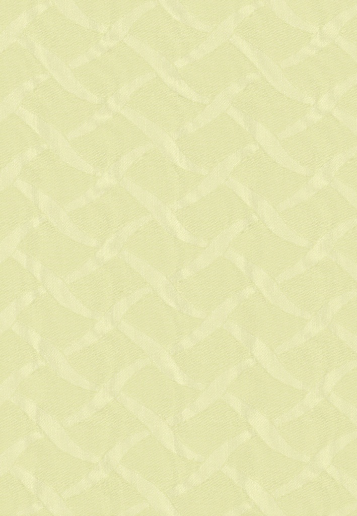 Ubrusovina C/2-166